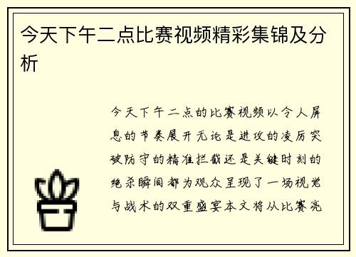 今天下午二点比赛视频精彩集锦及分析